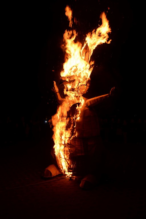 ../Images/Konijnverbranding 2015 191.jpg